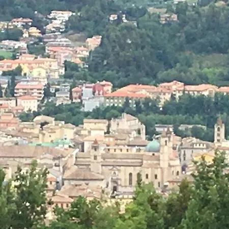 לינה וארוחת בוקר L'acerba